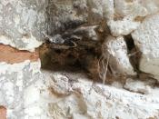 Pierwotne miejsce ukrycia - niestety puste :(