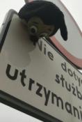 Zdjęcie 7