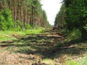 Litwini buduja droge