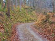 ścieżka w wąwozie