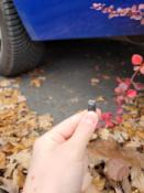 Fotolog