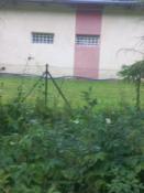 Fotka 