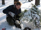 Mela pochwycona! Nasza jest ona! Nasza!