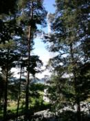 Zdjęcie Krzyża z okolic kesza