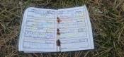 Wpis w logbook: Wpis w logbook