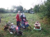 picnic