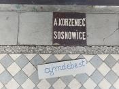Zdjęcie