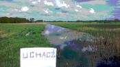 ŁASICA