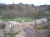 Tu nas doprowadzi gps i możemy zostawić auto.