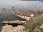 19.03.2014 - Zbobrowane...