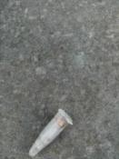 Log