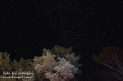 Deep space...