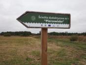 Pierzowisko