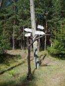 Tu można zostaiwić autko