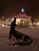Rynek zimową porą