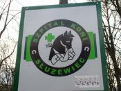 Konika można tu nawet wyleczyć