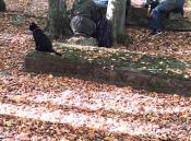 Podmiot OP8JJJ grobie Bismarcka 