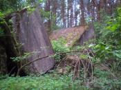 dach bunkra