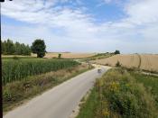  panorama z wieży