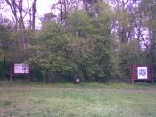 Dwie tablice i mirabelka