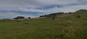Widok 1