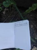 czysty logbook był.