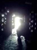 BUCHMANN w urbexowym raju 