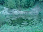 skręć w lewo gdy to zobaczysz