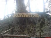 Bardzo ważne drzewko