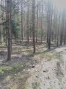 bliżej