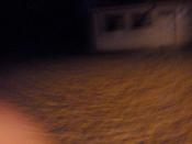 Ostatnie ujęcie z telefonu.