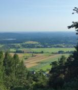 Klonówka.