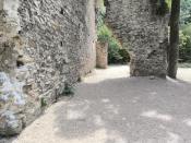 Dziurodziupla po lewej