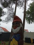 Zdjęcie 1