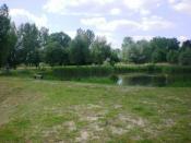 staw latem 2010