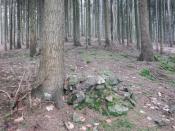 od ... skocznia