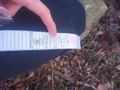 Logbook