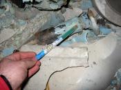 Jeśli do tej pory nadal żyjesz masz szansę zobaczyć to czego szukasz