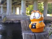 Garfield na wakacjach