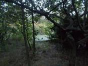 Sadzawka Mrocznych Mocy z drugiej strony