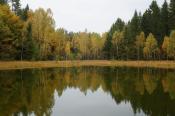 Jezioko Modre jesienią