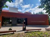 Muzeum