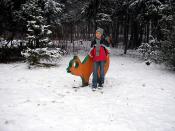 Strefa zwierząt nieożywionych