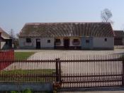 Muzeum