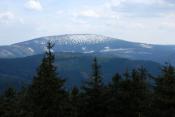 Śnieżnik
