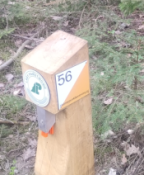 s.56