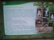 IMG_20200222_165217.jpg