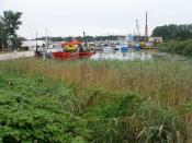 widok na port rybacki