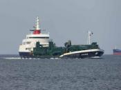 Przybysz zza granicy