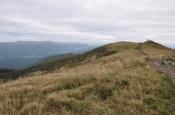 Widoki